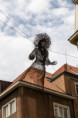 /album/paiva-87/img-1312-kopio-jpg/